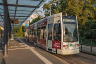 Dessau Tramway