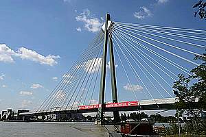Two-span single-pylon cable-stayed bridges