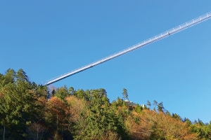 Pedestrian suspension bridge in Reutte, Tyrol, is the world’s longest