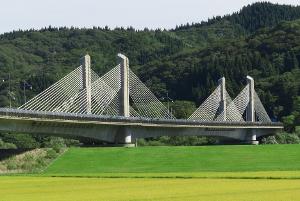 Three-span extradosed bridges
