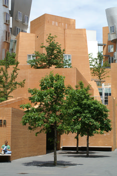 MIT - Ray and Maria Stata Center, Cambridge, Massachusetts 