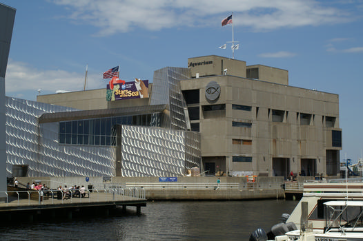 New England Aquarium, Boston, Massachusetts