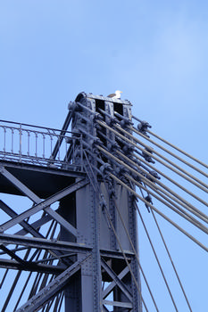 Pont de Lézardrieux sur le Trieux