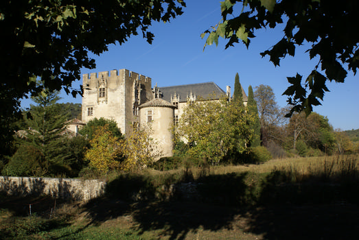 Allemagne-en-Provence - Château