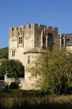 Allemagne-en-Provence - Castle