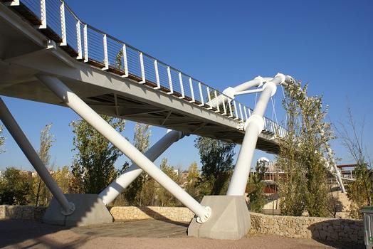 Bioparc Footbridge 