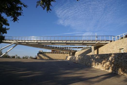 Bioparc Footbridge