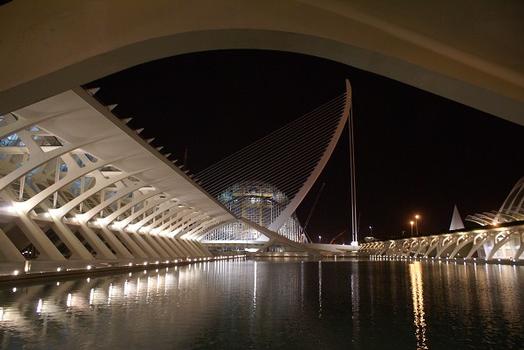 City of Arts and Sciences in Valencia: Museu de les Ciències «Príncipe Felipe» & Serreria Bridge
