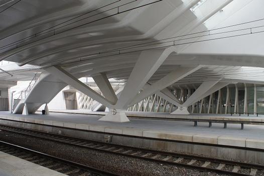 Liège Guillemins Station