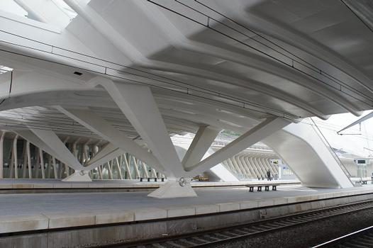 Gare TGV Guillemins