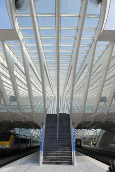 Liège Guillemins Station