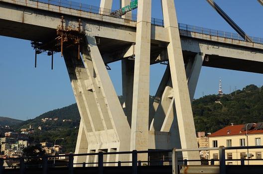 Polcevera Viaduct