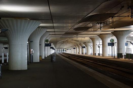 Covering of the Paris-Austerlitz Station Tracks 