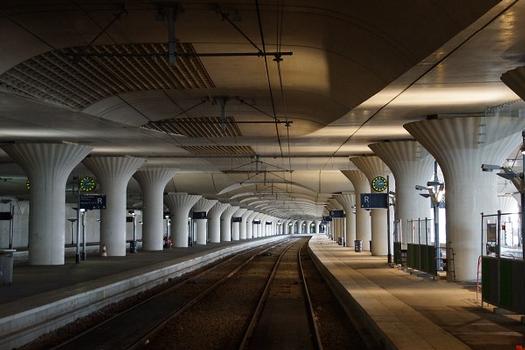 Covering of the Paris-Austerlitz Station Tracks 