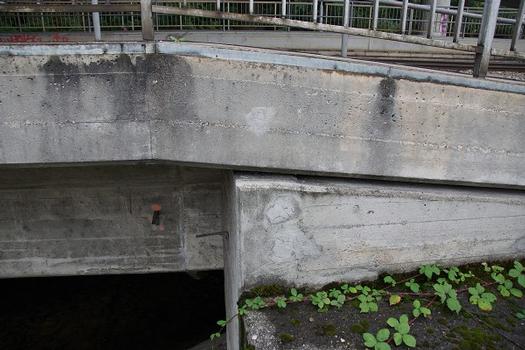 Sihlbrücke Giesshübel
