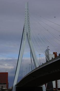 Erasmus-Brücke
