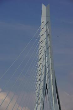 Pont Erasmus