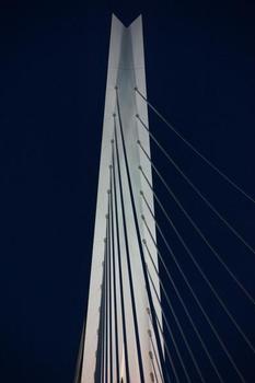 Erasmus-Brücke