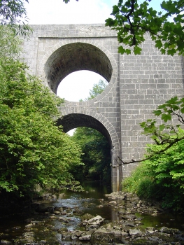 Spectacle Bridge
