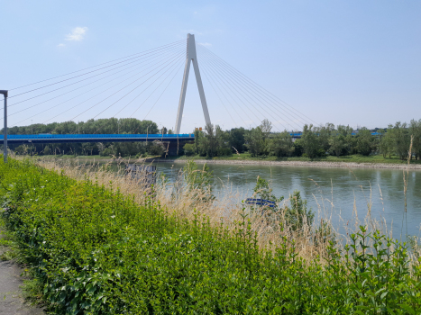 Die Raiffeisenbrücke bei Neuwied mit dem Pylon auf der Rheininsel "Weißenthurmer Werth"