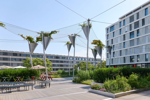 Grünes Schattendach in einem Innenhof in Oerlikon