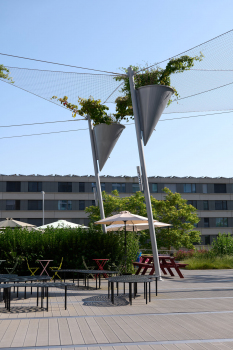 Grünes Schattendach in einem Innenhof in Oerlikon