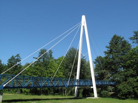 Die Aalemannkanalbrücke überspannt im Ortsteil Hakenfelde des Berliner Bezirks Spandau den Aalemannkanal. Die Fuß- und Radwegbrücke ist Teil des Radfernwegs Berlin–Kopenhagen und des Havelradwegs
