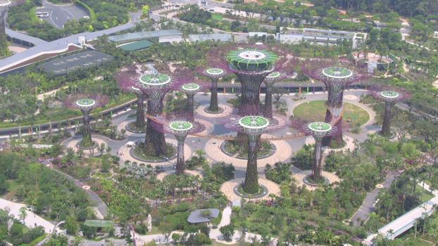 Gardens by the Bay, Gardens by the Bay Supertrees