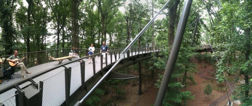 Atlanta Botanical Garden Canopy Walk