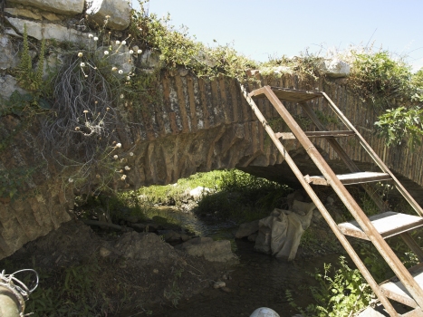 Die römische Brücke bei Limyra in Lykien in der Türkei. Vierter Bogen Südseite. Der in der Spätantike errichtete Ingenieurbau ist eine der ältesten Segmentbogenbrücken der Welt. Auf einer Länge von 360 m überspannen insgesamt 28 Bögen den Fluss Alakır Çayı, darunter 26 Segmentbögen mit einer durchschnittlichen Überhöhung von 5,3 zu 1. Die Brücke ist heute bis zu den Bogenansätzen von Flussablagerungen verschüttet