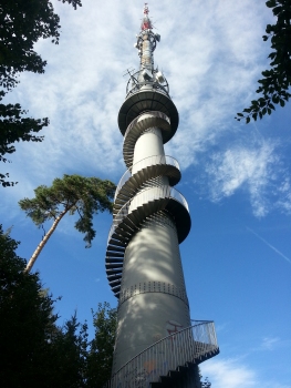 Brühlberg Tower