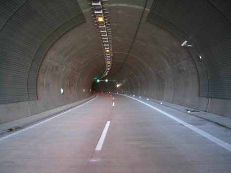 Tunnel Burgholz