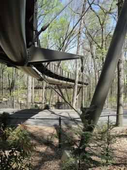 Atlanta Botanical Garden Canopy Walk