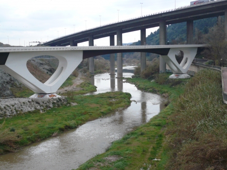Llobregatbrücke Martorell