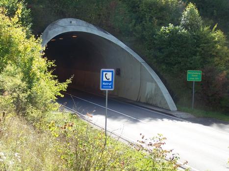 Tunnel routier de Hörschel