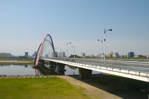 Pont de l'Expo