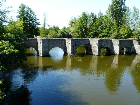 Pont-Vieux de Gourgé