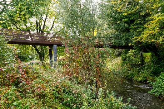 Great Dalke River Footbridge