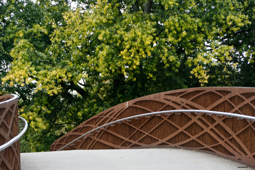 Great Dalke River Footbridge