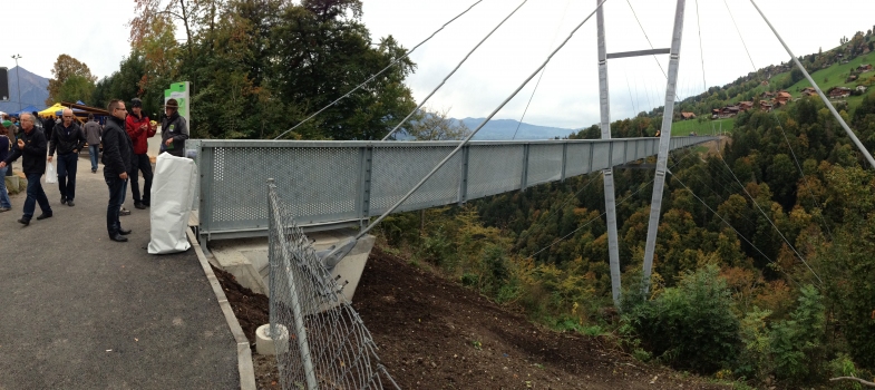 Sigriswil Suspension Bridge