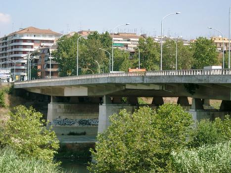 Ponte G. Marconi, Rome 