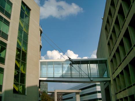 Footbridge on MIT Campus, Cambridge, Massachusetts