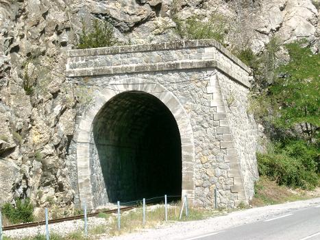 Train des PignesSaint-Benoit Tunnel