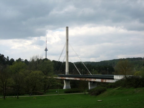 Nerisbrücke Vilnius