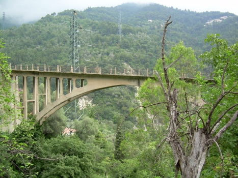 Straßenbahnbrücke Monti