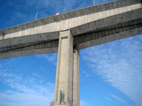 Myzinsky-Brücke