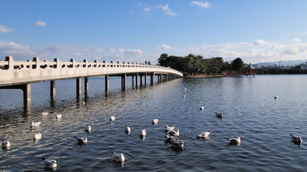 Pont sur le lac du parc Ohori