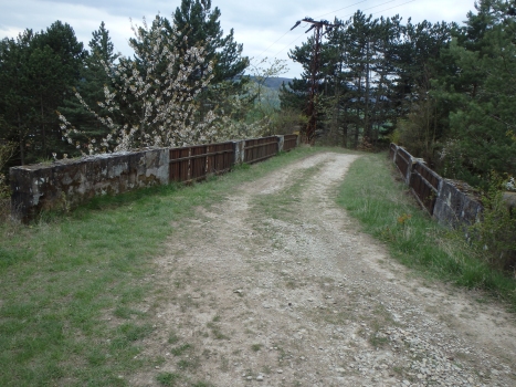 Dieterode Rail Overpass