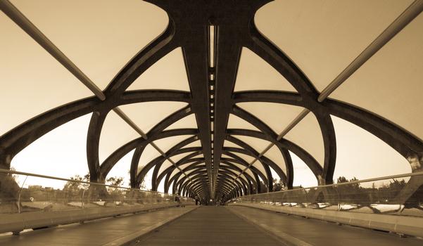 Peace Bridge (Calgary)