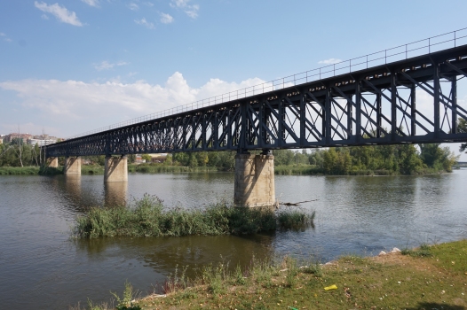 Pont ferroviaire de Zamora